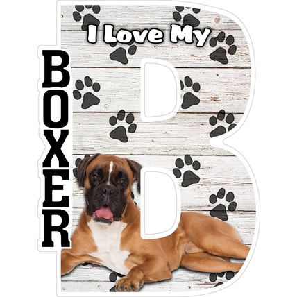 I Love My Boxer Fridge Magnet