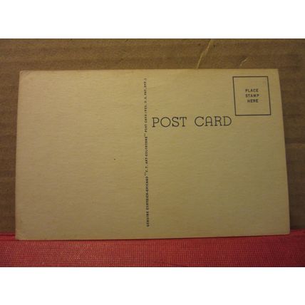 'A SWELL TRIP' American humour, unused vintage USA postcard =