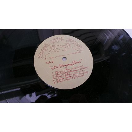 The Bluegrass Band LP / Smoggy Valley / 1974/ Vinyl / Autographed DC 101 NM-