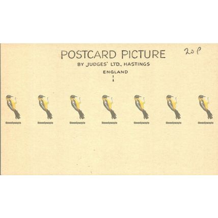 Tal-y-Llyn Pass, Wales, Judges Postcard