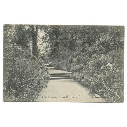 The Fernery, Kew Gardens, London, Postcard.