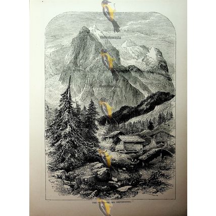 Wellhorn & Wetterhorn, Switzerland, Book Illustration (Print), c1890