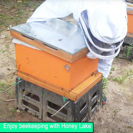 Screened Bottom Board 10 Frame with Entrance Reducer, Bee Hive Bottom Board for