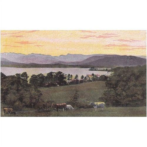 Windermere From Low Wood Cumbria Postcard (CUM1325)