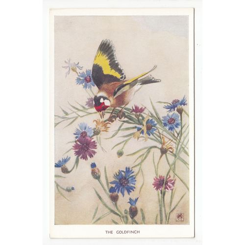Winifred Austen Postcard The Goldfinch Bird Art 5216
