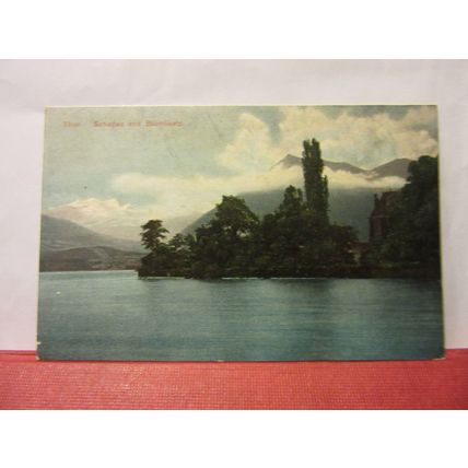 THUN, SWITZERLAND unused antique postcard #