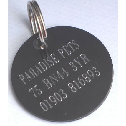 BICHON FRISE ID TAG, KEY RING TAG - HANDBAG CHARM, ZIP PULL, ENGRAVED FREE