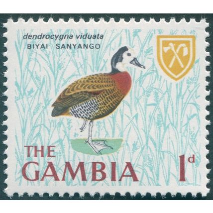 Gambia 1966 1d White-faced Whistling Duck SG234 MNH