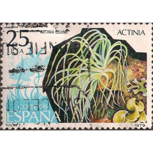 SPAIN, SEA LIFE, Actinia, 1979, 25 Pta