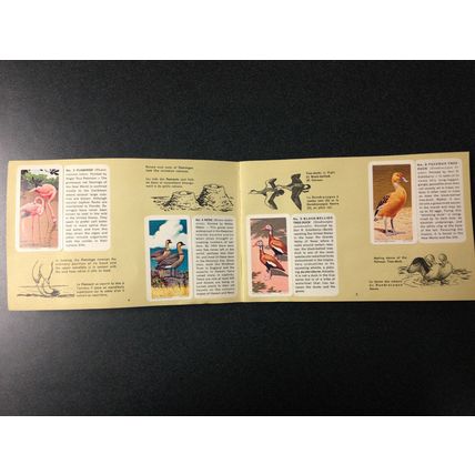 1963 Brooke Bond Album 6 Red Rose Tea 48 Cards Full Booklet Tropical Birds