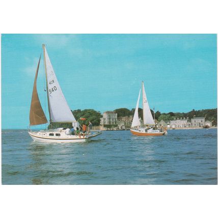 6x4 Continental size printed postcard Brownsea Island Poole Dorset