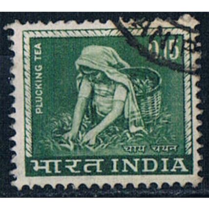 India 1965 SG510 indi72 Plucking Tea 15p Used Stamp