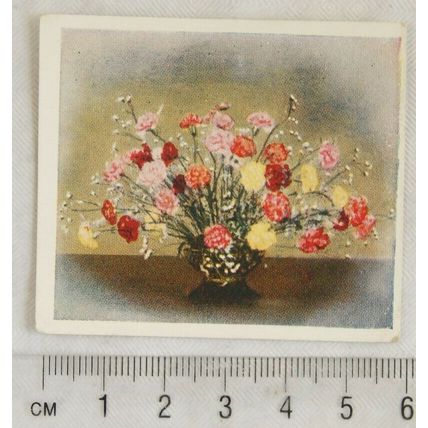 1937 Godfrey Phillips Flower Studies No. 5