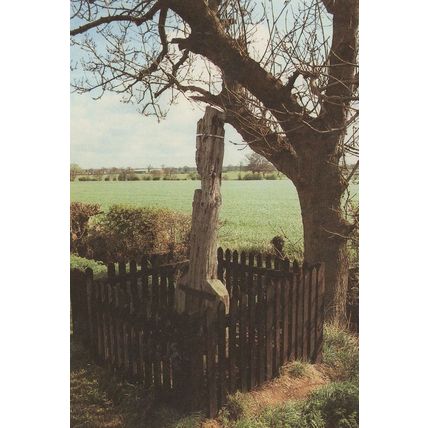 The Bilstone Gibbet Leicester Wife Murderer Crime Postcard