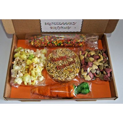 GUINEA PIG BIRTHDAY BOX DECORATED BOX FILLED WITH TREATS FOR A SQEUAKY BIRTHDAY