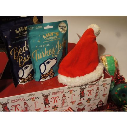 ULTIMATE DOG CHRISTMAS TREAT & TOY HAMPER XMAS GIFT BOX FILLED WITH FESTIVE FUN