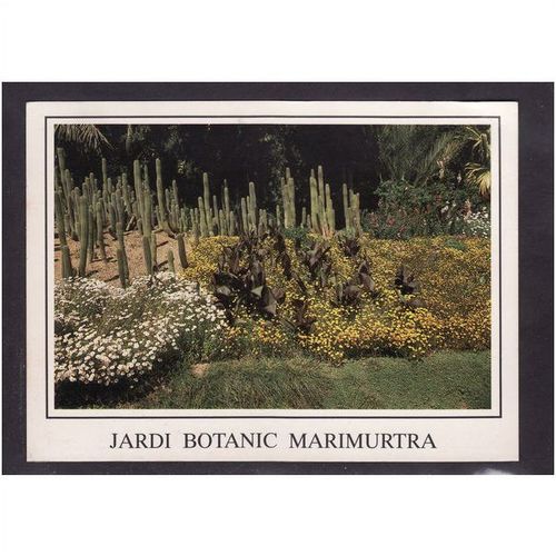 JARDI BOTANIC MARIMURTRA - TRICHOCEREUS SPACHIANUS - SPAIN - UNUSED