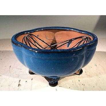 "Blue Ceramic Bonsai Pot - Lotus Shaped Professional Series 6"" x 4"" x 2"""