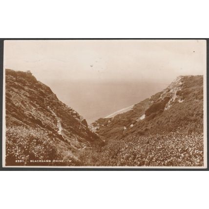 Blackgang Chine, Isle of Wight, 1937 - Sweetman RP Postcard