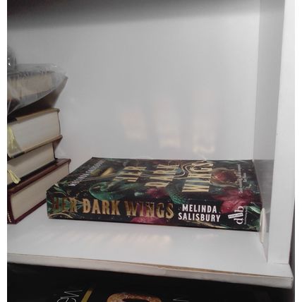 Her Dark Wings, Melinda Salisbury. tPB