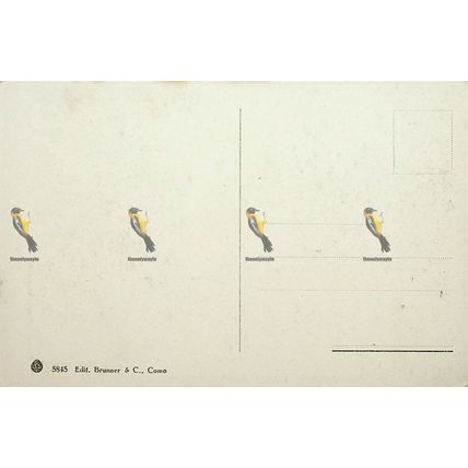 Ritratto Di Dante, Giotto, 5845 Italian Art Postcard, 1920s