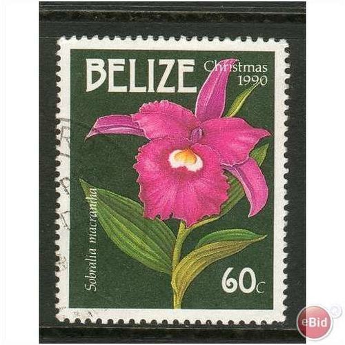 Belize stamps 1990 - SG 1094 Christmas Orchid - Sobralia macraniha