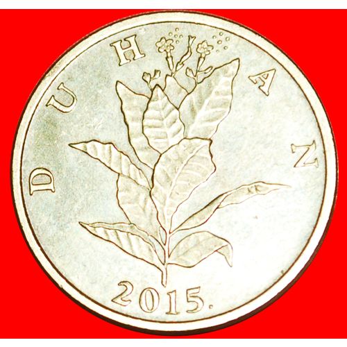 KILLER: CROATIA ★ 10 LIPA 2015.! LOW START ★ NO RESERVE!