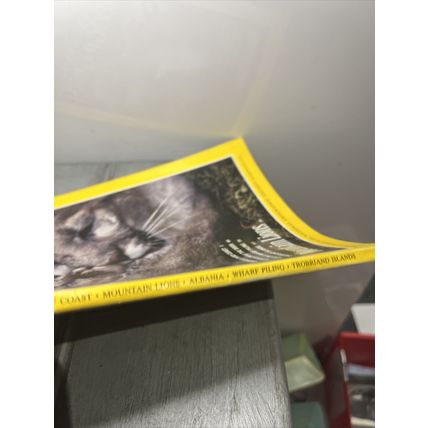 National Geographic Magazine July 1992 Mountain Lions - Vintage Collectable