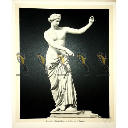 Naples, National Museum, Venus of Capus (Capua), Italy, Book Illustration, 1899