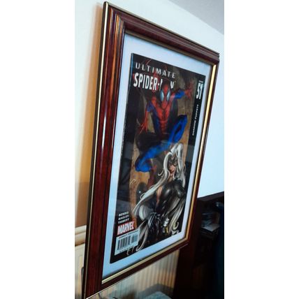 Framed Spider-man Comic. Wall Hanging