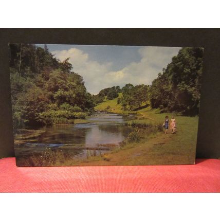 LATHKIL DALE, BAKEWELL, Derbyshire unused postcard =