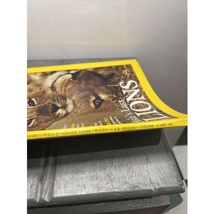 National Geographic Magazine June 2001 Asia's Last Lions - Vintage Collectable