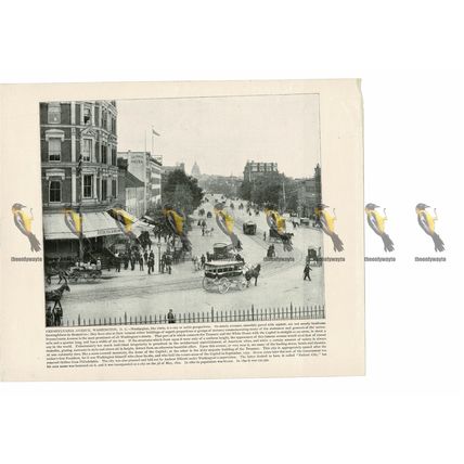 Pennsylvania Avenue, Washington DC, USA, Book Illustration (Print), 1899