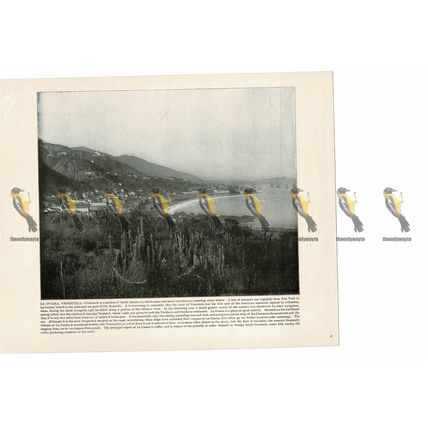 La Guaira, Venezuela, Book Illustration (Print), 1899