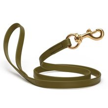 Dog Pet Leash with Brass Hardware W 3/4” L 4 FT Olive Drab Green