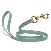 Dog Pet Leash with Brass Hardware W 3/4” L 4 FT Sage Green