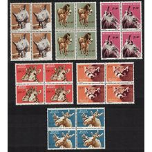 Belgium Panda Rhino Giraffe Animals of Antwerp Zoo 6v Blocks of 4 1961 MNH