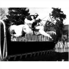 DESERT ORCHID and COLIN BROWN PRESS PHOTO