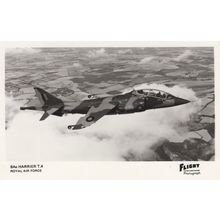 Harrier T4 Plane Aircraft Flight Photograph Real Photo Postcard