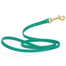 Dog Pet Leash with Brass Hardware W 1/2” L 4 FT Teal