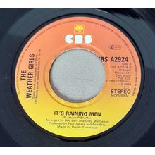 The Weather Girls : It's Raining Men : 45 rpm single