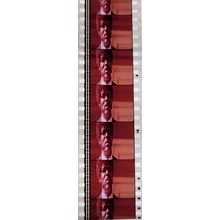 Pulp Fiction. Pk VXM - C077y. 1 STRIP OF 5 - 35MM FILM CELLS PK VXM