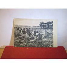 STOOKING THE CORN, HARVEST. French unused vintage postcard by R. Tuck =