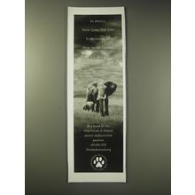 2003 Friends of Animals Ad - In Africa how long you live is measured by