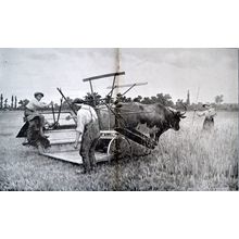 FIELD WORK DURING THE WAR 1915 Louis Rémy Sabattier FRANCE WORLD WAR I PRINT