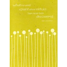 Fresh Stems - Tree Free Greeting Card - 11944