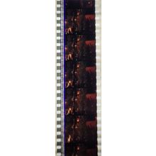 VAMPIRES. Pk MTP - A008h . 1 STRIP OF 5 - 35MM FILM CELLS. MTP