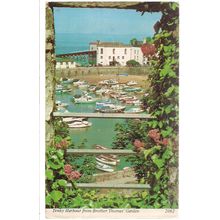 TENBY HARBOUR FROM BROTHER THOMAS' GARDEN , unused vintage postcard by Archway =