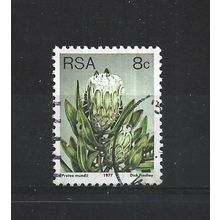 SouthAfrica.SG421 8c Protea Mundii.Fine Used.Sep25d