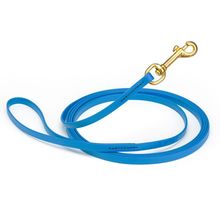 Dog Pet Leash Cerulean Blue w/ Brass Hardware W 3/8" - L10'